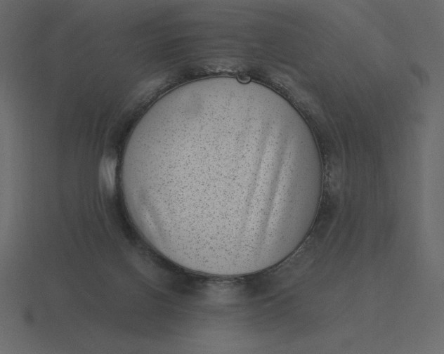 X0000116600070200912241722