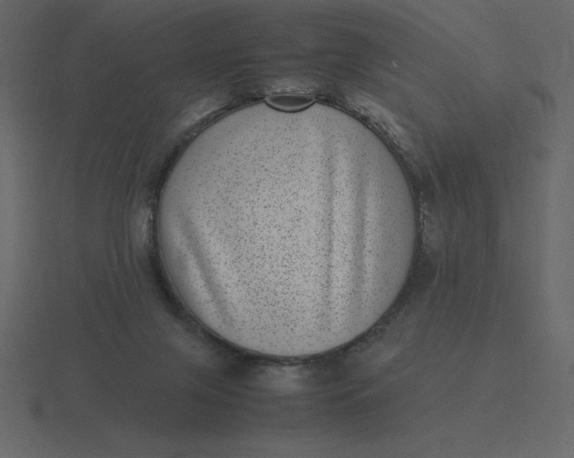 X0000116600071200912241722