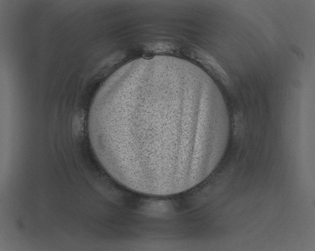 X0000116600073200912241722