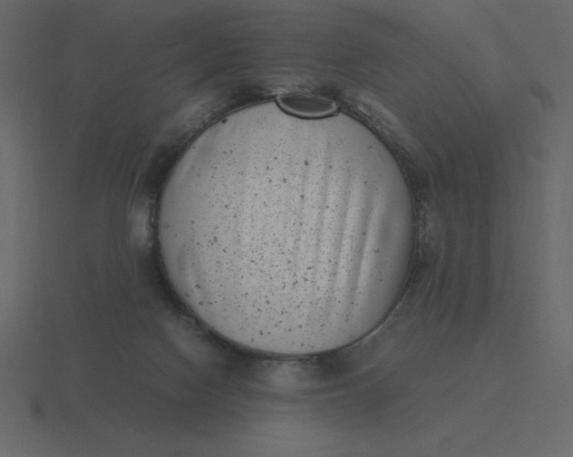 X0000116600074200912241722