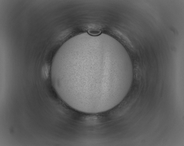 X0000116600075200912241722