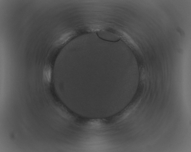 X0000116600076200912241722