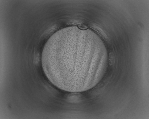 X0000116600077200912241722