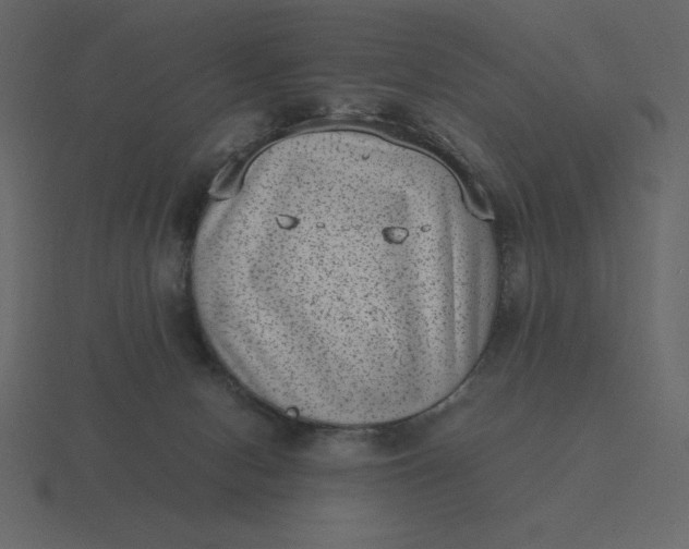 X0000116600078200912241722