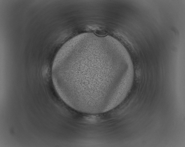 X0000116600079200912241722