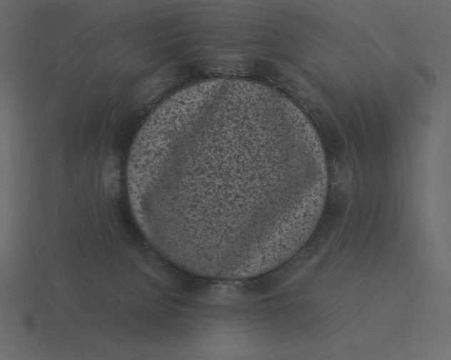 X0000116600080200912241722