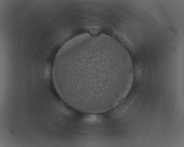 X0000116600083200912241722