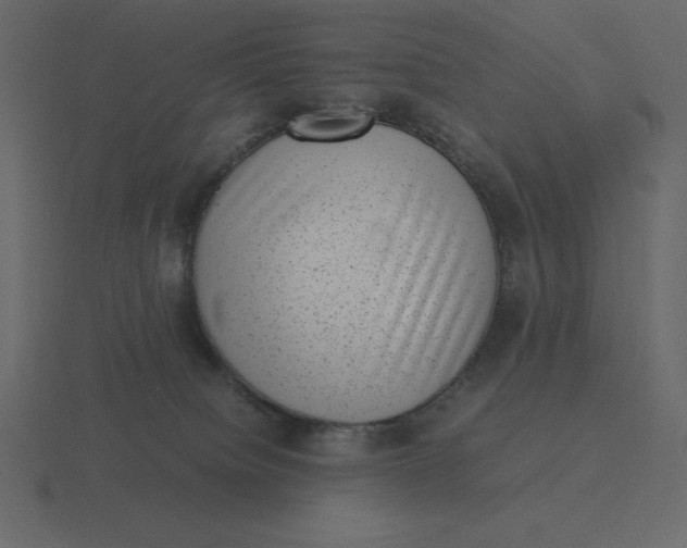 X0000116600084200912241722