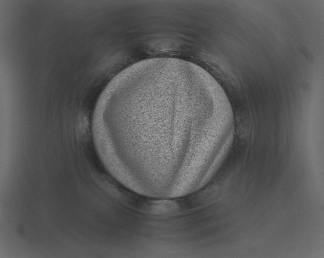 X0000116600087200912241722