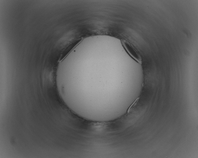 X0000116600088200912241722