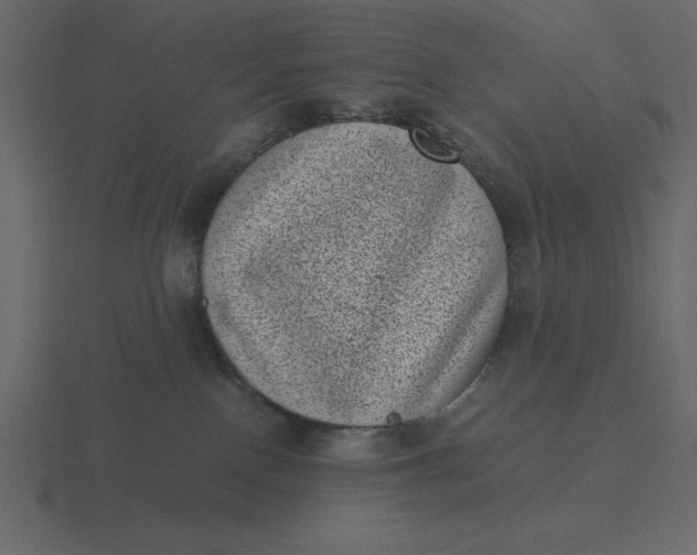 X0000116600090200912241722