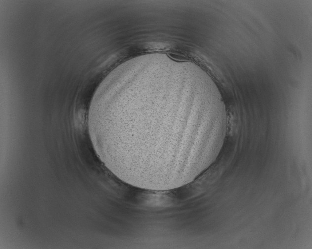 X0000116600093200912241722