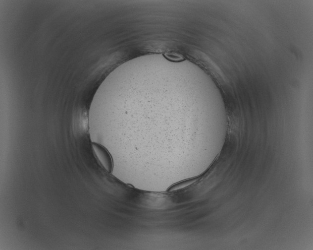 X0000116600095200912241722