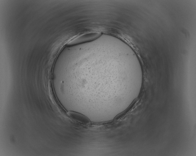 X0000116600097200912241722