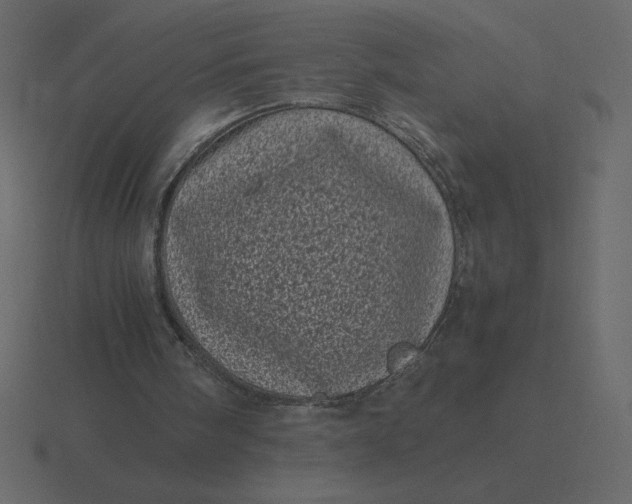 X0000116600098200912241722