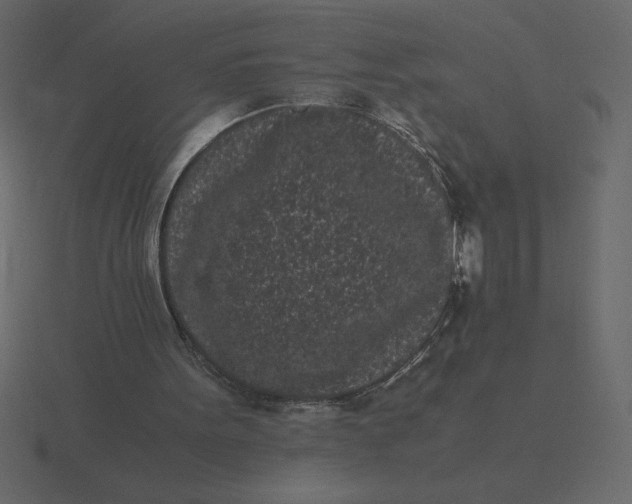 X0000116600099200912241722