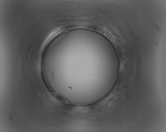 X0000116600101200912241722