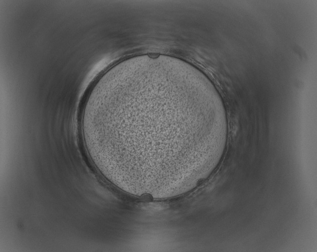 X0000116600102200912241721