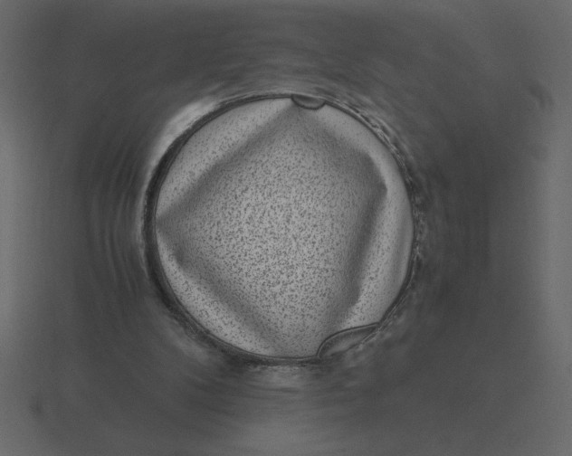 X0000116600104200912241721