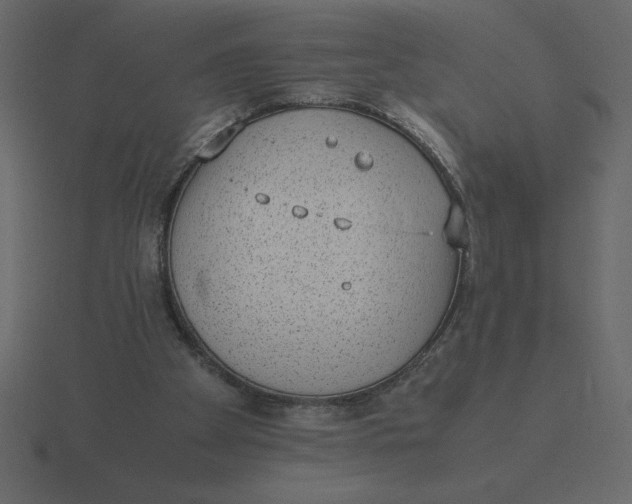 X0000116600105200912241721