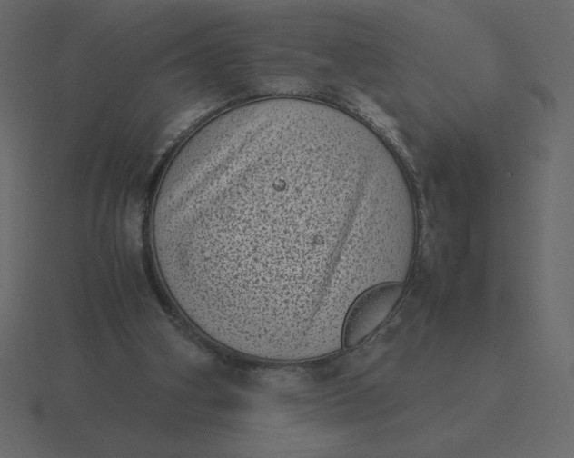 X0000116600106200912241721