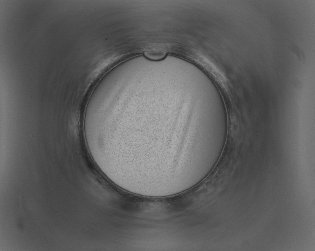 X0000116600107200912241721