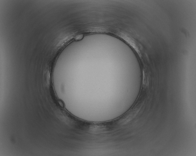 X0000116600109200912241721