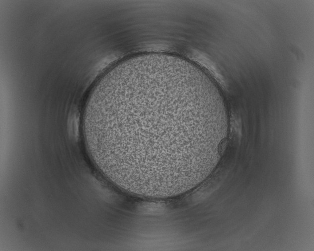 X0000116600110200912241721