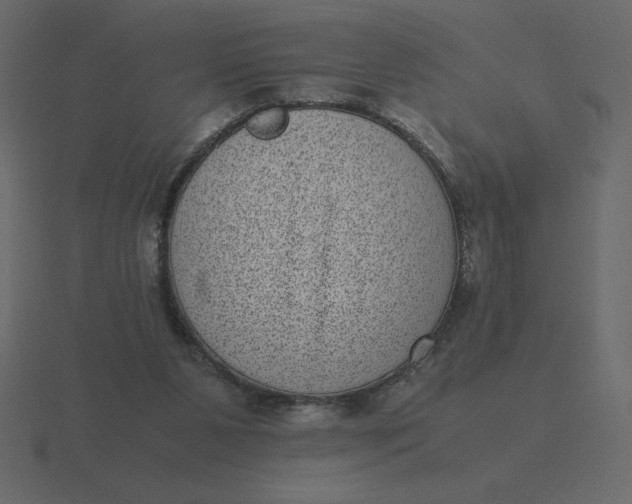 X0000116600111200912241721