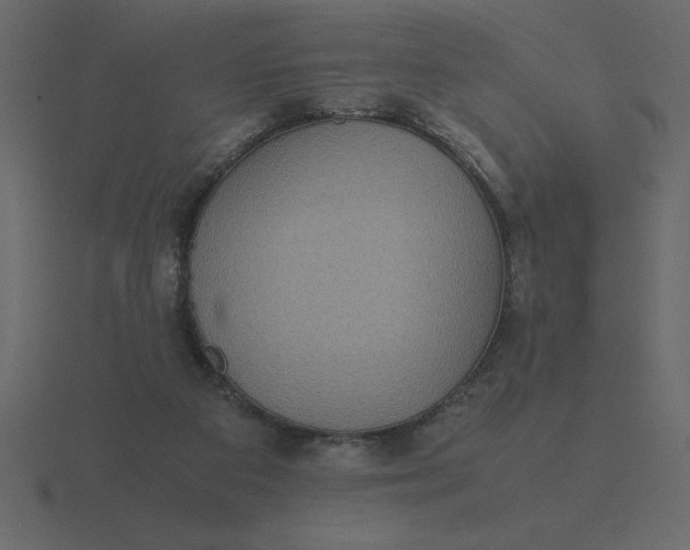 X0000116600113200912241721