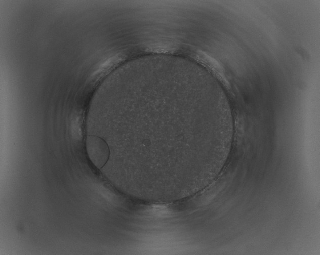 X0000116600114200912241721