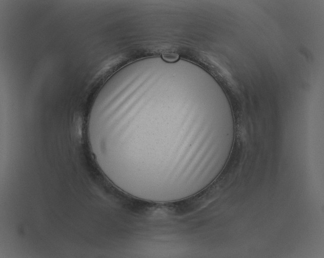 X0000116600115200912241721