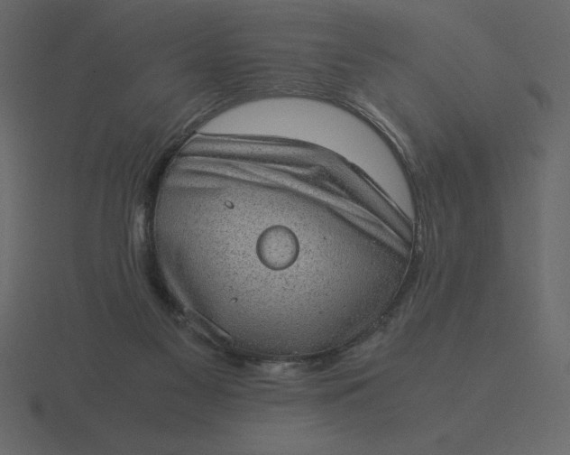 X0000116600117200912241721