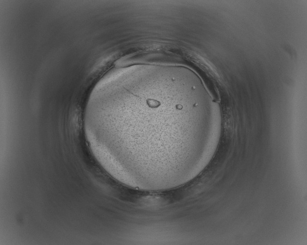 X0000116600119200912241721