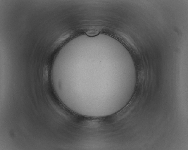 X0000116600120200912241721