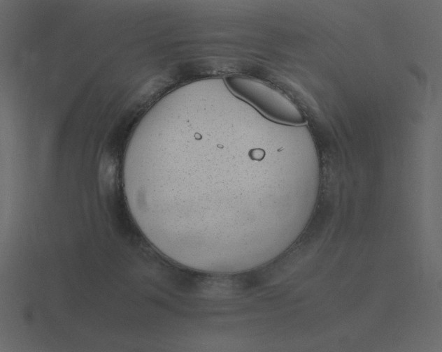 X0000116600123200912241721