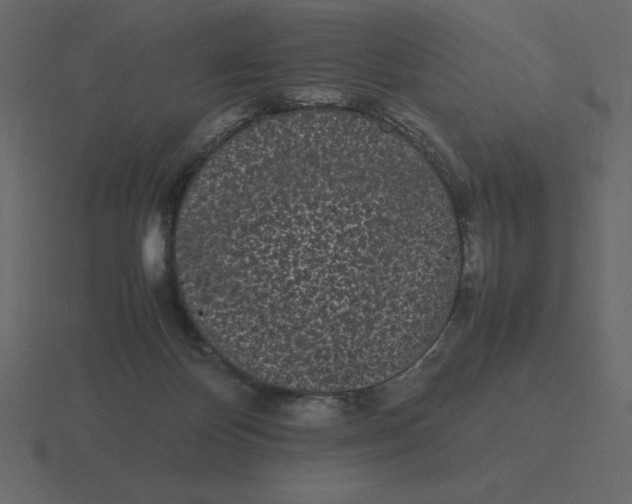 X0000116600124200912241721