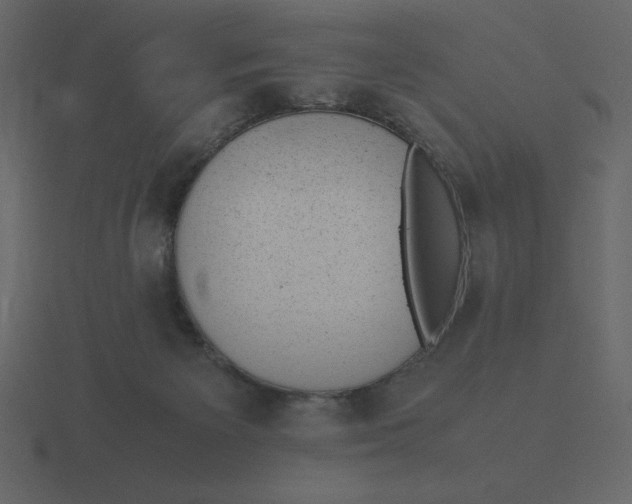 X0000116600125200912241721