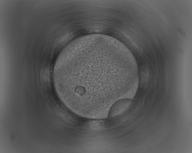 X0000116600126200912241721