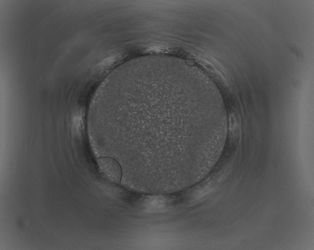 X0000116600127200912241721