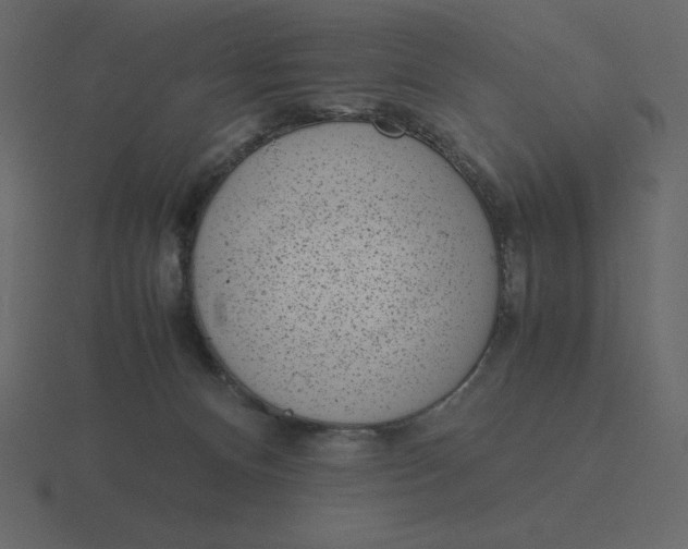 X0000116600128200912241721