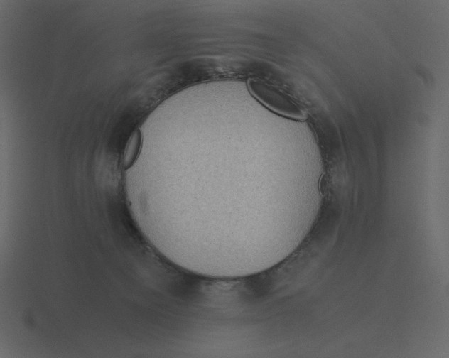 X0000116600129200912241721