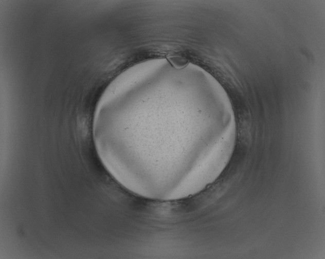 X0000116600131200912241721