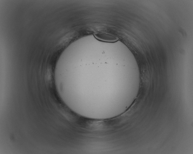 X0000116600132200912241721