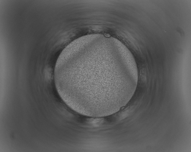 X0000116600135200912241721