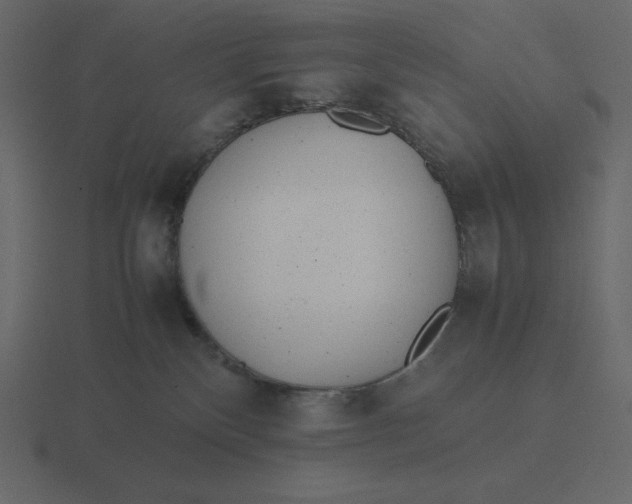 X0000116600136200912241721