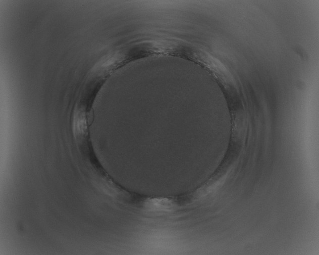 X0000116600137200912241721