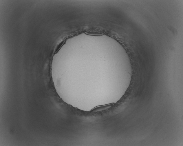 X0000116600144200912241721