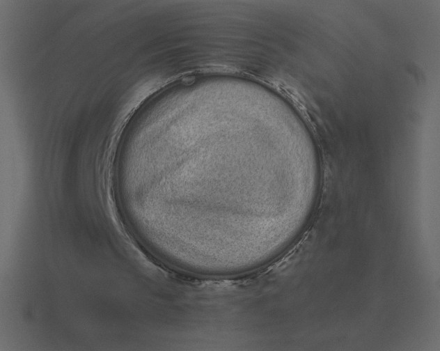 X0000116600145200912241720