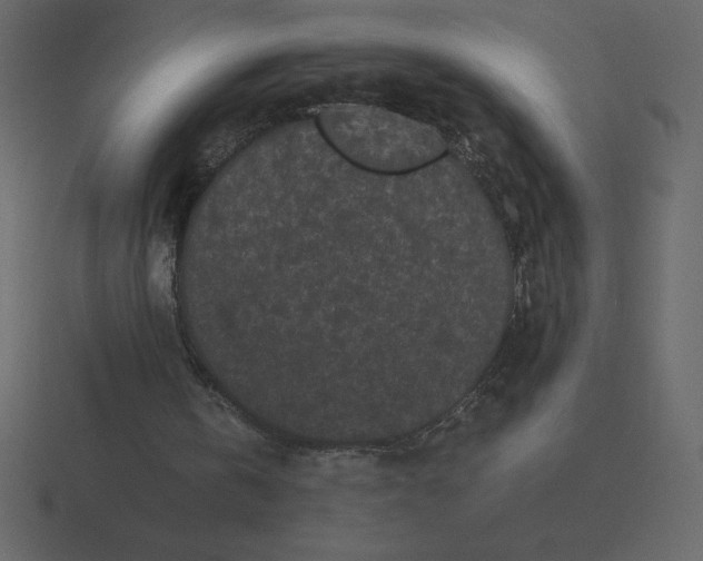 X0000116600146200912241720